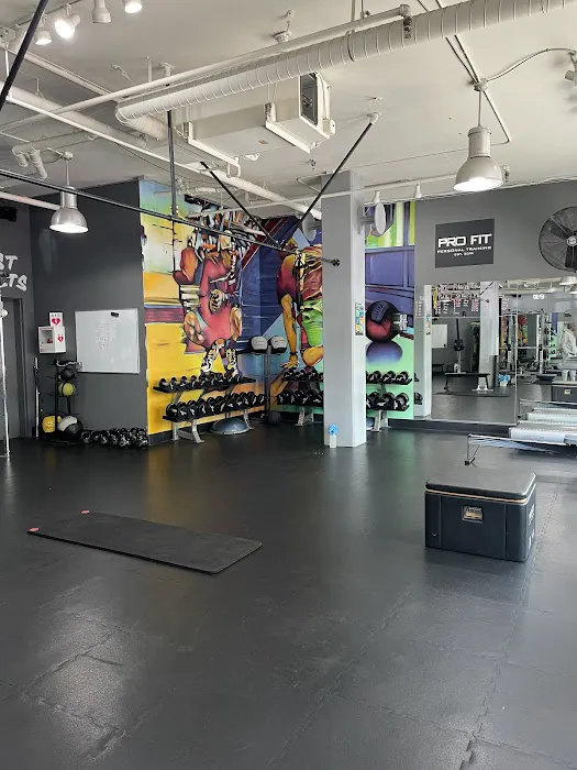 Pro Fit Training Gym 4