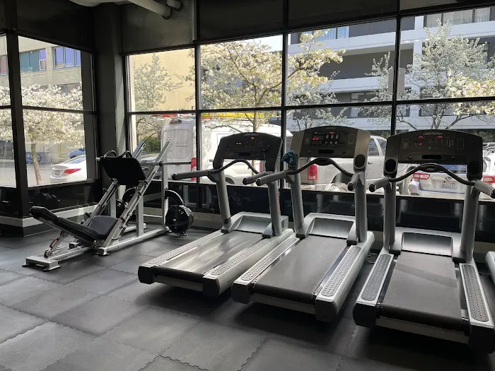 Pro Fit Training Gym 6