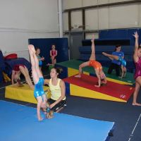 The Gymnastics Connection