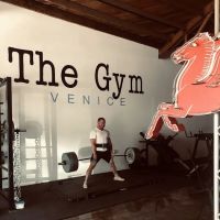 The Gym Venice
