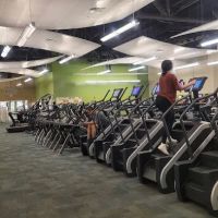 USF Recreation & Wellness