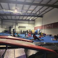 Flip City South Tumblers