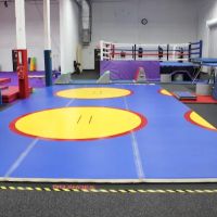 IK School of Gymnastics in Miami