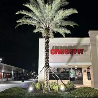 MouseTrap Fitness - Home of CrossFit MouseTrap