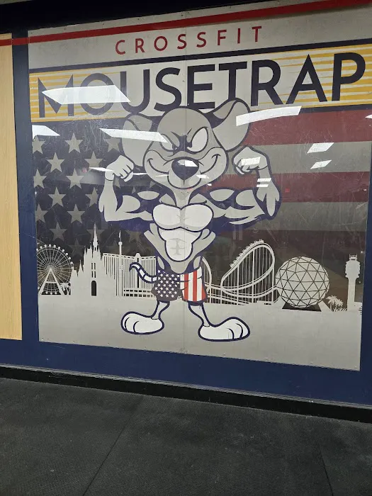 MouseTrap Fitness - Home of CrossFit MouseTrap 3