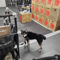 CrossFit Union Square