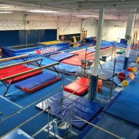 Olympica Gymnastics