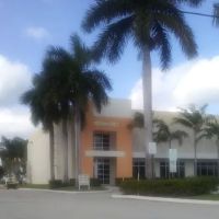Rhythmic Art Gymnastics in Miami