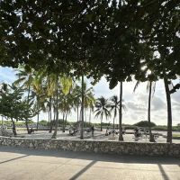 StreetBarbell Beach Gym South Beach