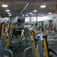 Gold's Gym
