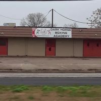 Dark Horse Boxing Academy