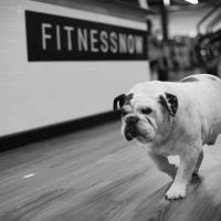 Fitness Now