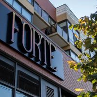 Forte Lab