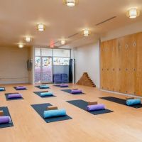 Down Under School of Yoga - Harvard Square