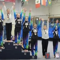 Pinnacles Gymnastics