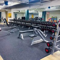 The GYM