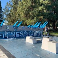 Fitness Court at Tennyson Park
