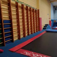 Peninsula Gymnastics