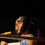 Elite Boxing