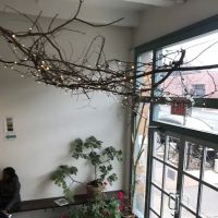 Studio Maya