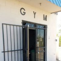 Thorbecke's Gym