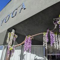 Avenues Yoga