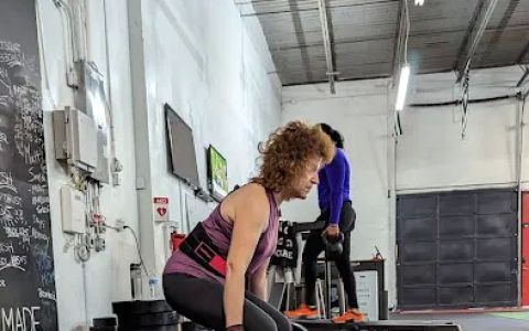 Ludus Performance Gym