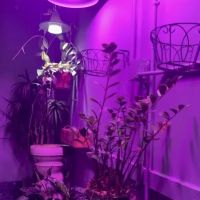 Alma Yoga Studio