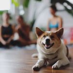 Daya Yoga Studio