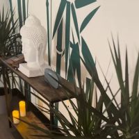 Bodhi Mind and Body Wellness
