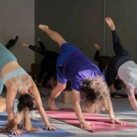 Mindful Owl Yoga