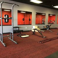 Tara Training Studio