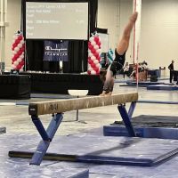JLF Elite Gymnastics