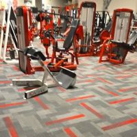 Flex Fitness