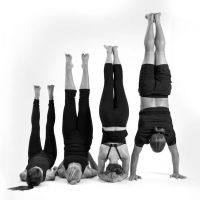 Align Chiropractic