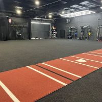 Baseball Paradise