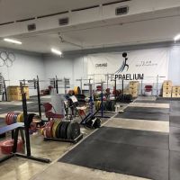 Oly Concepts