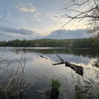Oldham Pond