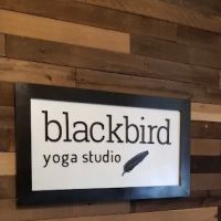 Blackbird Yoga Studio