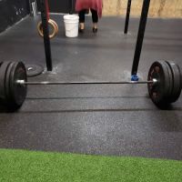 Animal Fitness