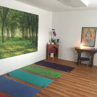 Alex V Yogi Boutique Yoga Studio
