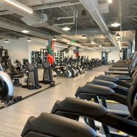 Active Wellness