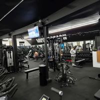MuscleBeachSF