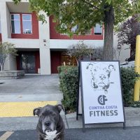 Contra Costa Fitness