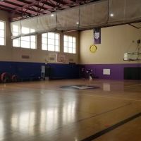 The Y