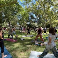 Liminal Space Online Yoga Classes