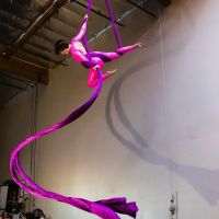 Rebel Aerial Artistry
