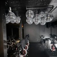The Wellness Club