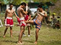 Muay Thai Basics for Beginners: Learn the Essentials and Improve Fast