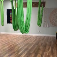 Scleranthus Aerial Yoga - Miami’s Preferred Aerial Yoga @miamisaerialyoga